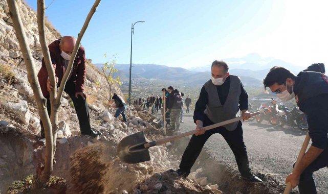 Ali Dağı'nda 20 bin ağaç daha toprakla buluştu