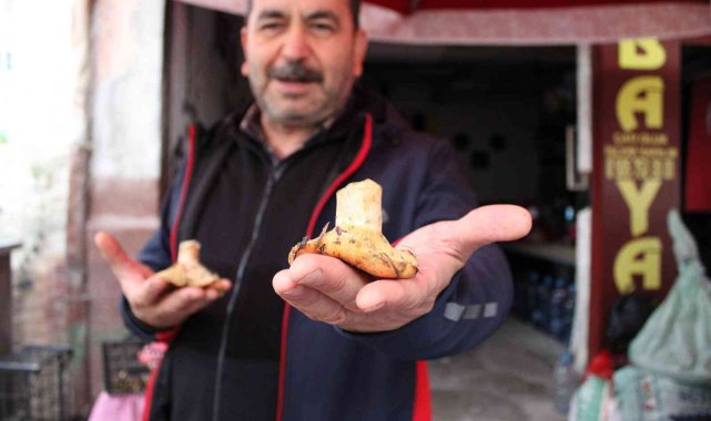 Doğal mantar, çıntarlar tezgahlarda yerini aldı