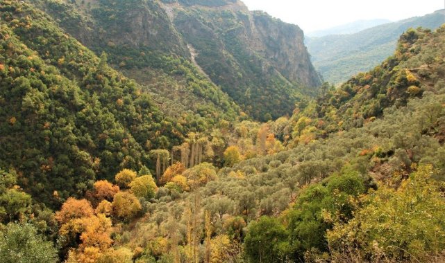 EKODOSD' tan, Koçak Kanyonu için koruma çağrısı