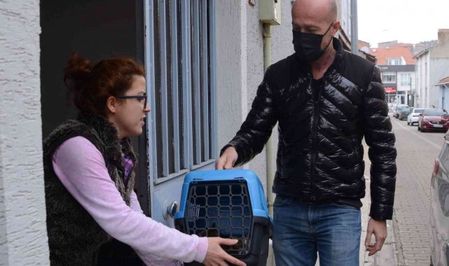 Tedavi edilen minik kediler ailelerine teslim edildi