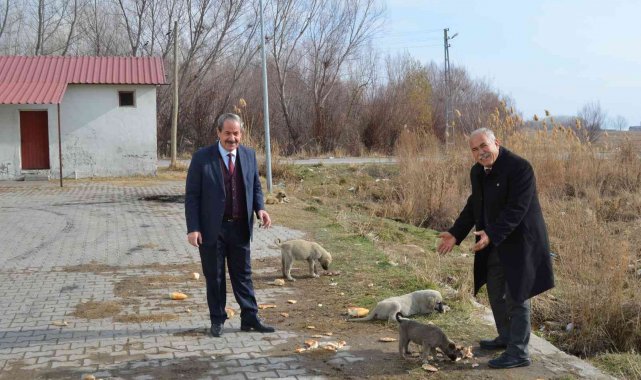Adilcevaz'da sokak hayvanları için ekmek ve sakatat bırakıldı