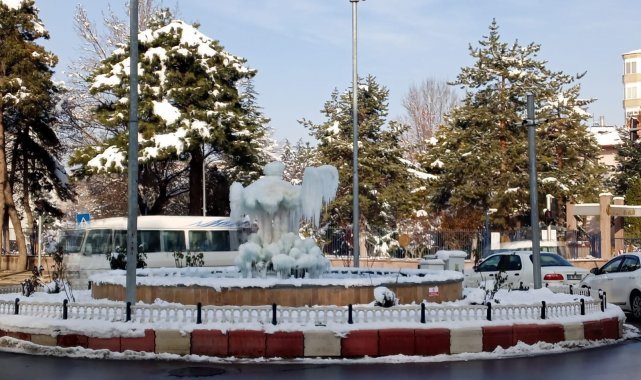 Afyonkarahisar'ın simgelerinden flamingo heykellerinin buzla kaplı hale görsel şölen oluşturdu