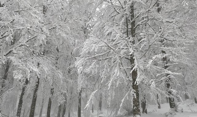 Alaçam'da kartpostallık kar manzaraları