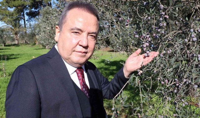 Başkan Böcek: "Zeytin Park'ı korumak boynumuzun borcudur"