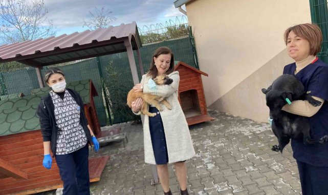 Başkan Çalkaya'dan barınak denetimi