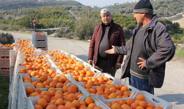 Dalında 1,5 liraya sattı; zincir markette fiyatı 5,90 liraya fırladı
