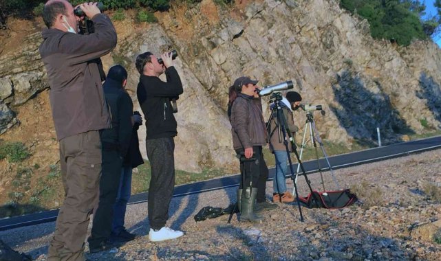 Datça'da yaban keçisi envanteri çalışması