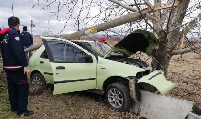 Denizli'de otomobil ağaca çarptı: 1 yaralı