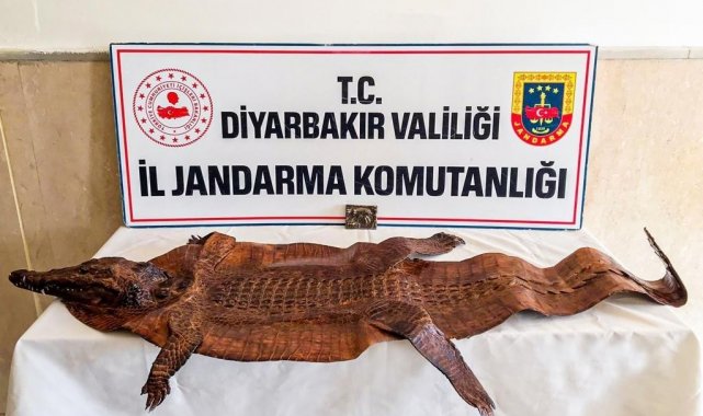 Diyarbakır'da 2 milyon dolar karşılığında satılmaya çalışılan tarihi eser yakalandı