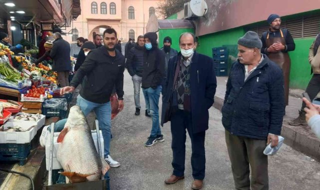 Elazığ'da 60 kiloluk dev turna balığı yakalandı