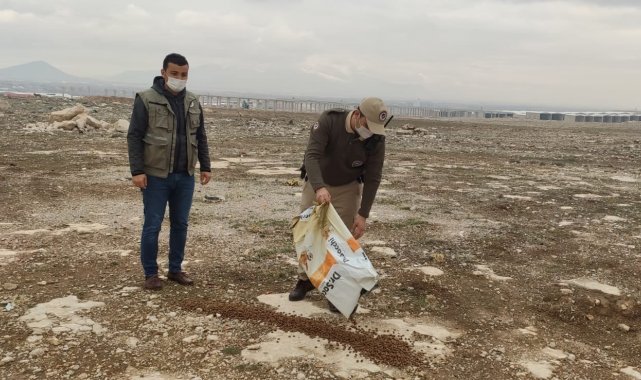 Karaman'da sokak hayvanlarına yem bırakıldı