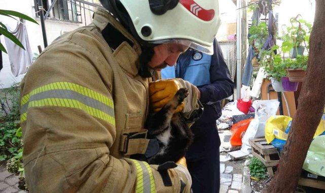 Kartal'da yanan evdeki köpek ve kediler son anda kurtarıldı