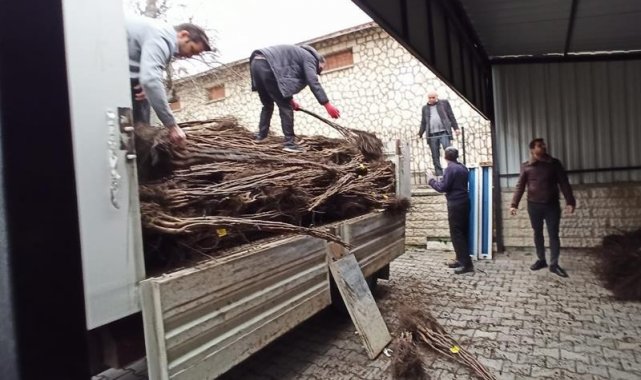 Kastamonu'da selzede çiftçilere fidan desteği