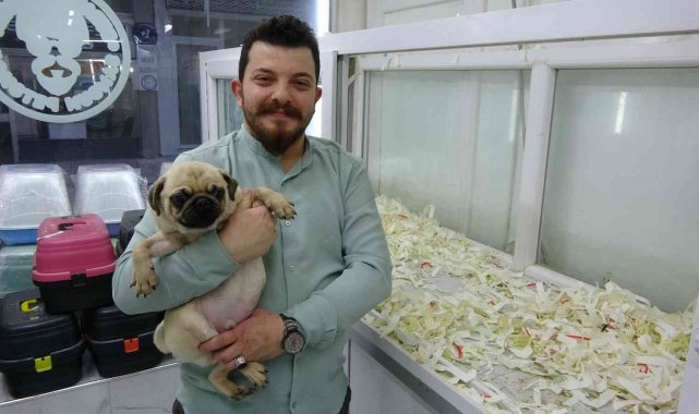 Kayıt dışı hayvan üretiminde şifreli satış: 'Gelin arıyoruz', 'damat arıyoruz'