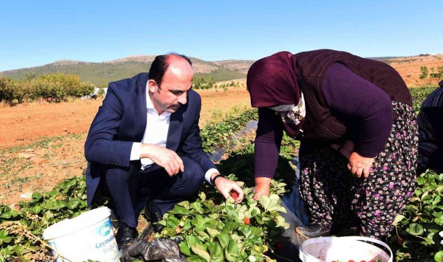 Konya Büyükşehir'den 2021'de tarıma 33 milyon lira destek