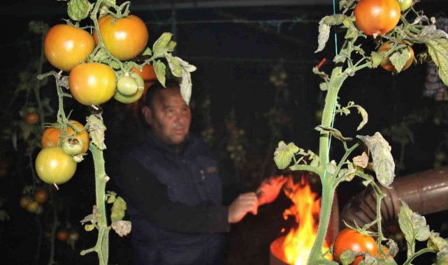 Mersin'de seralarda sobalar yakıldı, zirai don nöbeti başladı