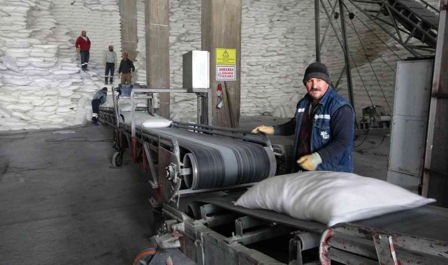 Muş'ta 38 bin 290 ton şeker üretimi yapıldı