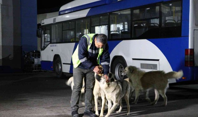 Ankara'da köpekle eğlenceli dakikalar geçiren EGO şoförü konuştu: