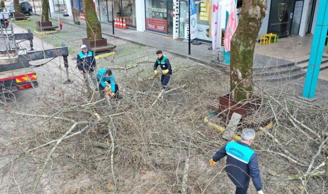 Başiskele'de ağaçlara kışlık bakım