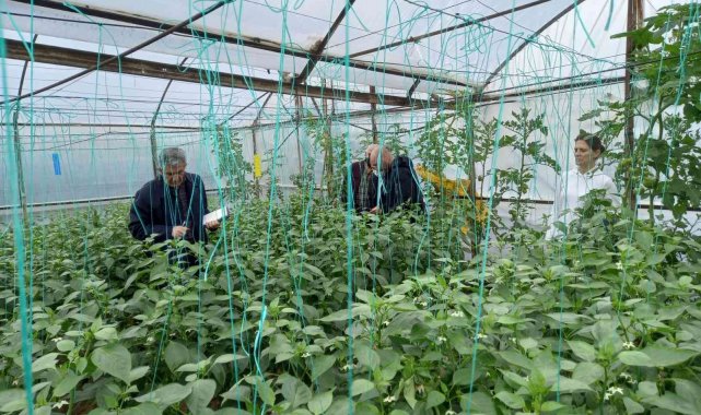 BATEM ve TARSİM ekipleri Antalya'da sel bölgesinde incelemelerde bulundu
