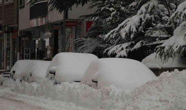 Bingöl'de 281 köy yolu ulaşıma kapandı