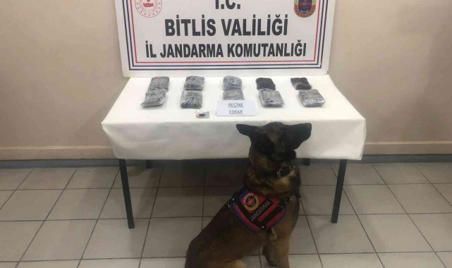 Bitlis'te 14 kilo 390 gram reçine esrar ele geçirildi