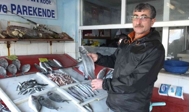 Burhaniye'de balıklar kooperatifle değerlendi