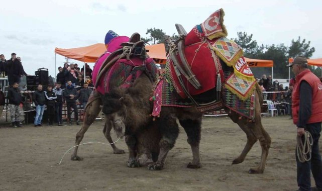 Burhaniye'de festival hazırlıkları tamamlandı