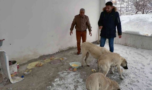 Çelikhan'da sokak hayvanları unutulmadı