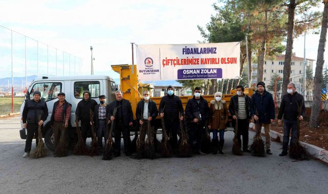 Denizli'de 5 yılda 380 bin ceviz fidanı toprakla buluştu