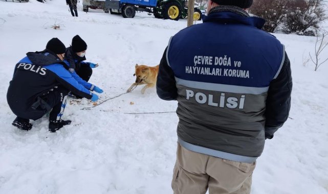 Elazığ HAYDİ ekibi sokak hayvanlarını unutmadı