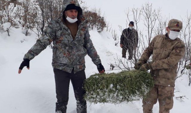 Elazığ'da yaban hayvanları için doğaya yem bırakıldı