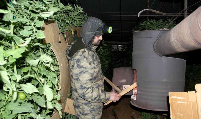 Fethiye'de seracıların sobalı zirai don nöbeti