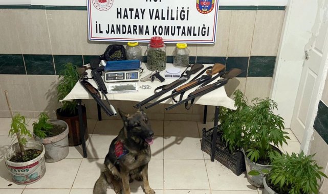 Hatay'da uyuşturucu operasyonu