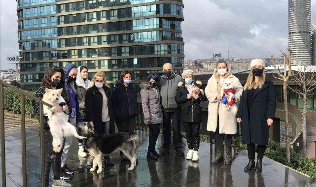 Kadıköy'de lüks sitede köpek besleyen hayvansevere tehdit: "Samuray kılıcıyla doğrarım"