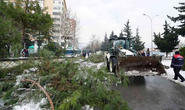 Kar savurdu, ekipler temizledi