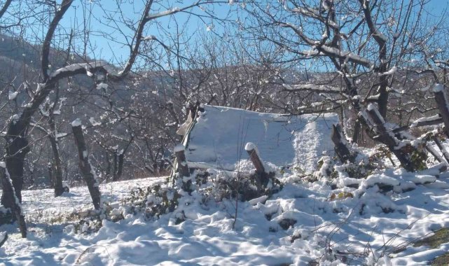 Kayıp adam, güvenlik kameraları sayesinde bulundu