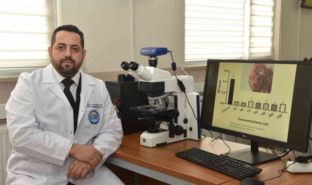 KMÜ'lü öğretim üyesinden Covid-19'a karşı meyan kökü formülü