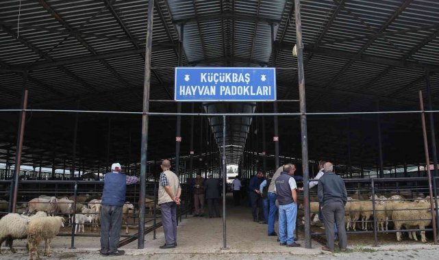 Kütahya'da çiçek hastalığı yüzünden hayvan pazarı küçükbaş hayvan girişlerine kapatıldı