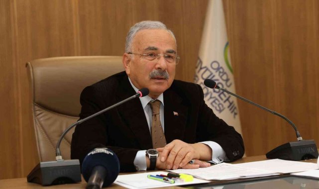 Ordu'da sokak hayvanları için yeni kararlar alındı