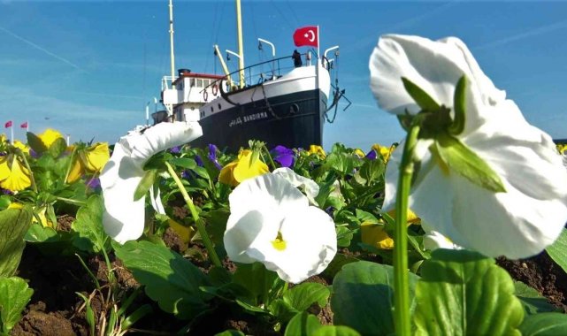 Samsun'da 1500 ağaç ve 53 bin bitki toprakla buluşacak