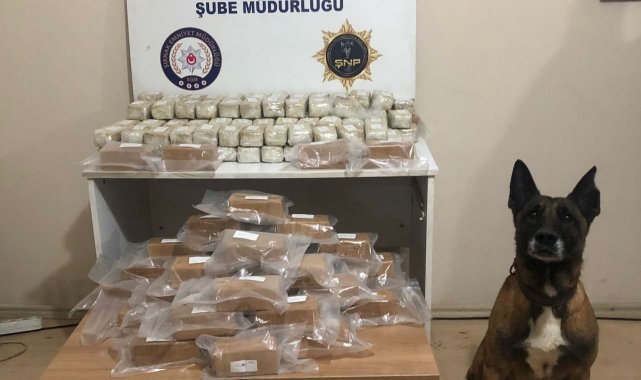 Tırın zulasındaki 52 kilo 639 gram eroini 'Stark' buldu