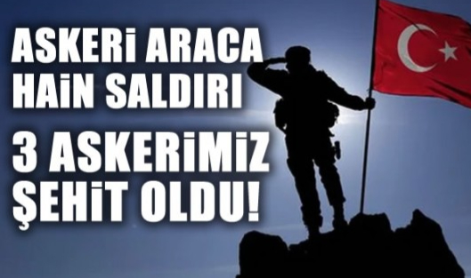 Üç Kahraman Silah Arkadaşımız Şehit Oldu.