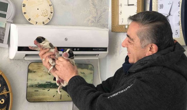 Üşümesin diye klimada ısıtıp, torunları gibi seviyorlar