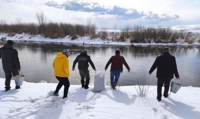 Van'da yaban hayvanları için doğaya yem bırakıldı