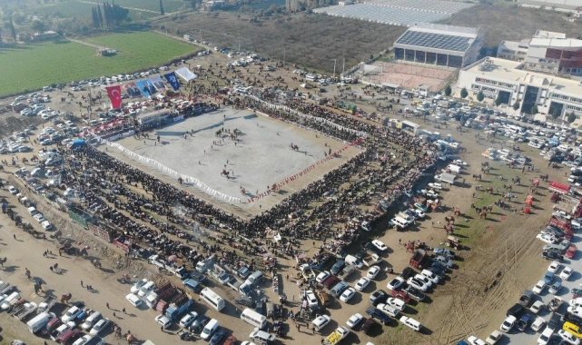 Yılın ilk deve güreşi İncirliova'da yapıldı