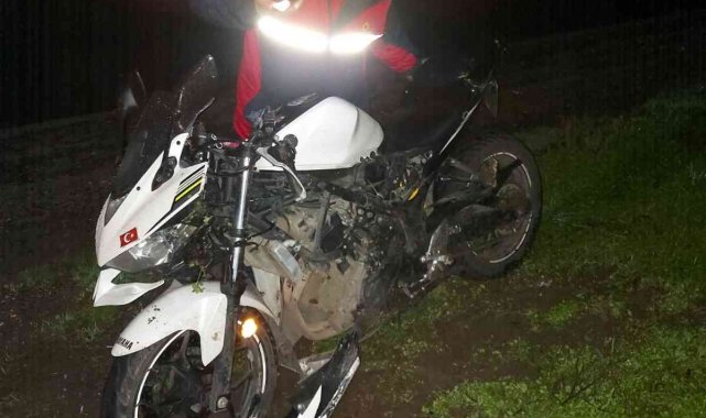 Yola çıkan köpek kazaya sebep oldu: 1 yaralı