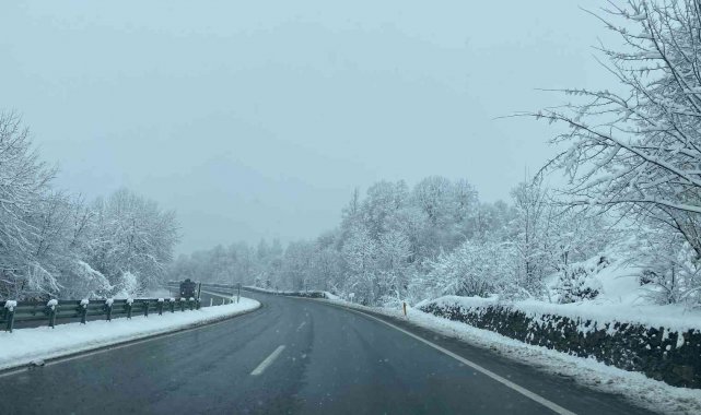 Zonguldak'ta buzlanan yolda sis görüş mesafesini düşürdü