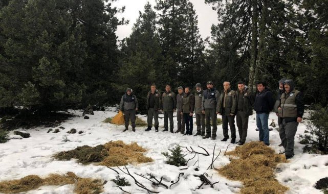 Burdur'da yaban hayatı unutulmuyor