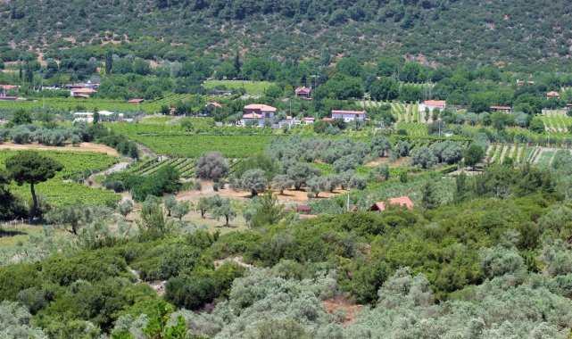EKODOSD'tan Kirazlı için çağrı